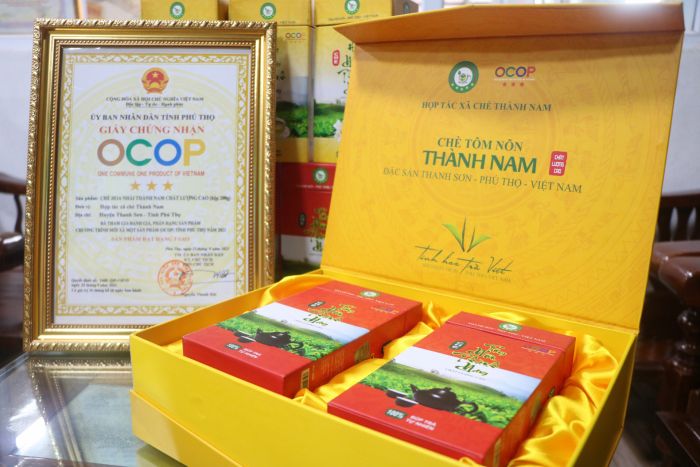 Sản phẩm ch&amp;egrave; t&amp;ocirc;m n&amp;otilde;n của HTX Ch&amp;egrave; Th&amp;agrave;nh Nam được UBND tỉnh Ph&amp;uacute; Thọ c&amp;ocirc;ng nhận l&amp;agrave; sản phẩm OCOP hạng 3 sao năm 2021