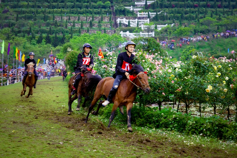 V&amp;oacute; ngựa tr&amp;ecirc;n m&amp;acirc;y c&amp;ugrave;ng chuỗi hoạt động Lễ hội hoa hồng, carnival đường phố... được tổ chức gi&amp;uacute;p Sa Pa, L&amp;agrave;o Cai đ&amp;oacute;n hơn 98.000 lượt kh&amp;aacute;ch dịp 30/4-1/5 vừa qua.
