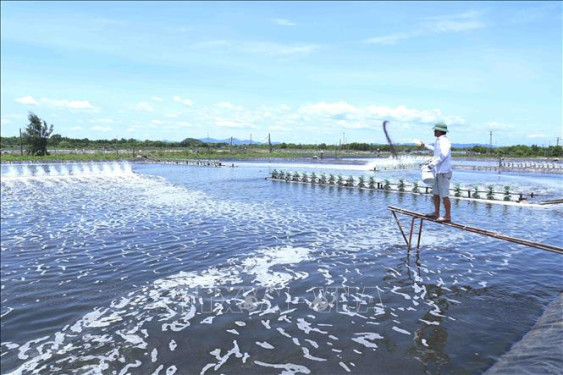 Hà Tĩnh: Sản lượng thủy sản nước ngọt đạt trên 6.800 tấn/năm