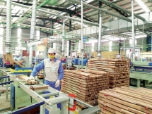 Nhiều doanh nghiệp gỗ phải thu hẹp quy mô, tạm ngừng sản xuất