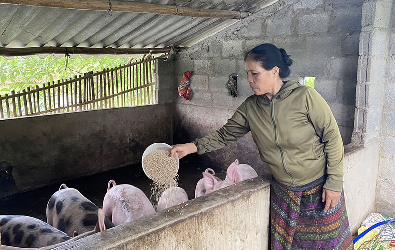Nguồn vốn t&amp;iacute;n dụng CSXH gi&amp;uacute;p c&amp;aacute;c hộ đồng b&amp;agrave;o d&amp;acirc;n tộc thiểu số vươn l&amp;ecirc;n l&amp;agrave;m gi&amp;agrave;u