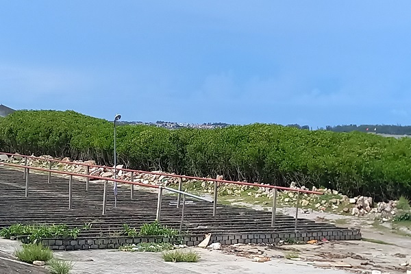 C&amp;ocirc;ng tr&amp;igrave;nh vi phạm h&amp;agrave;nh lang đ&amp;ecirc; biển kh&amp;ocirc;ng chấp h&amp;agrave;nh th&amp;aacute;o dỡ