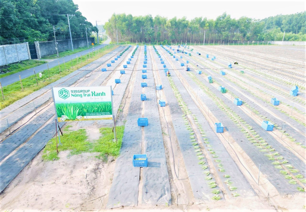 Tổng C&amp;ocirc;ng ty 939 v&amp;agrave; kh&amp;aacute;t vọng ph&amp;aacute;t triển dự &amp;aacute;n N&amp;ocirc;ng Trại xanh