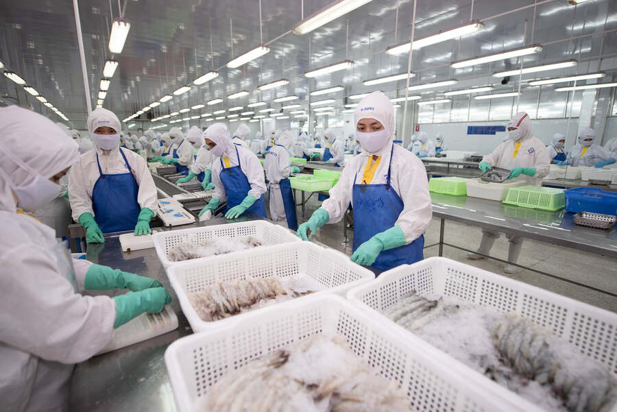 Sản lượng t&amp;ocirc;m giảm k&amp;eacute;o tụt doanh thu nửa đầu năm của Thực phẩm Sao Ta