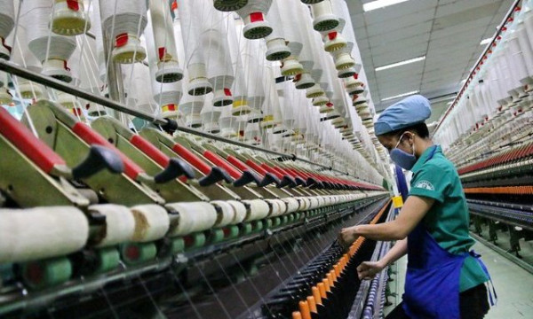 Damsan ghi nhận tăng trưởng xuất khẩu đáng kể trong nửa đầu năm
