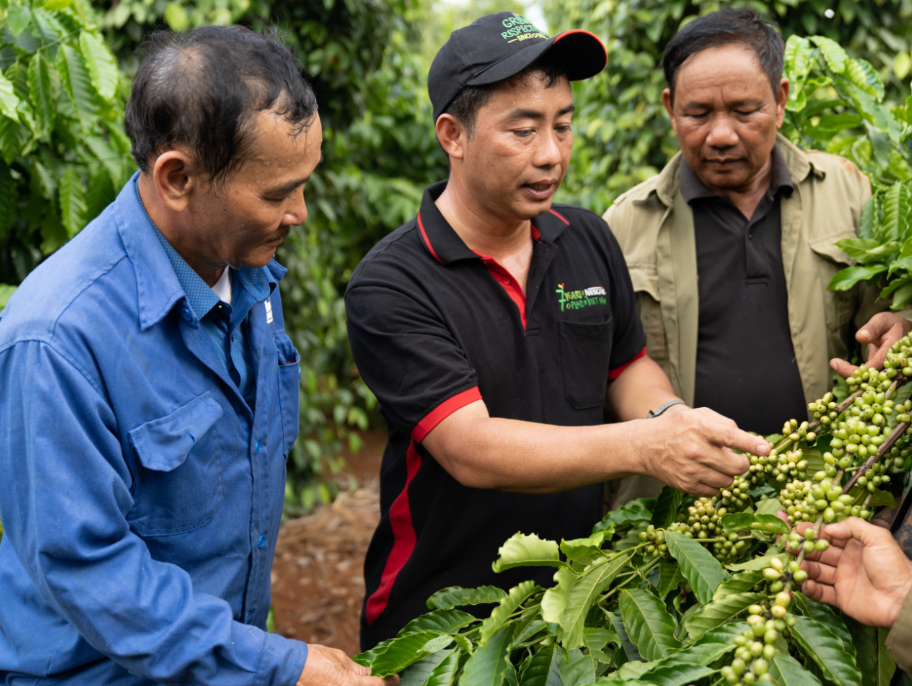 C&amp;aacute;n bộ của Nestl&amp;eacute; Việt Nam chia sẻ kỹ thuật canh t&amp;aacute;c c&amp;agrave; ph&amp;ecirc; bền vững với người n&amp;ocirc;ng d&amp;acirc;n tham gia dự &amp;aacute;n Nescaf&amp;eacute; Plan