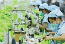 Kết quả kinh doanh quý II của các nhóm ngành nghề: Vẫn còn “kẻ cười người khóc”