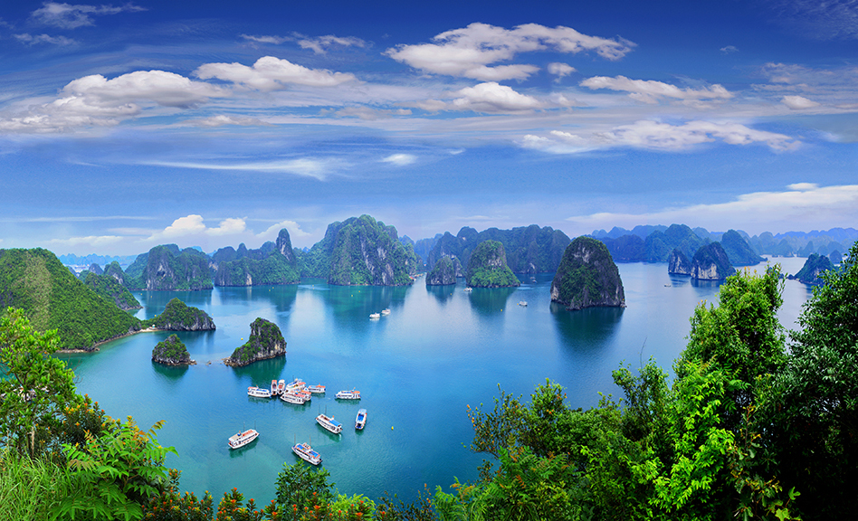 Ảnh minh họa. Nguồn: Internet
