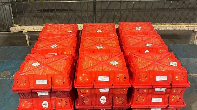 Vải thiều được đ&amp;oacute;ng g&amp;oacute;i xuất khẩu