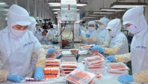 Hai quý cuối năm phải tăng trưởng 9% để đạt mục tiêu cả năm 6,5%