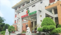 Dabaco: Thu lợi nhuận lớn từ bất động sản và giá lợn hơi tăng cao