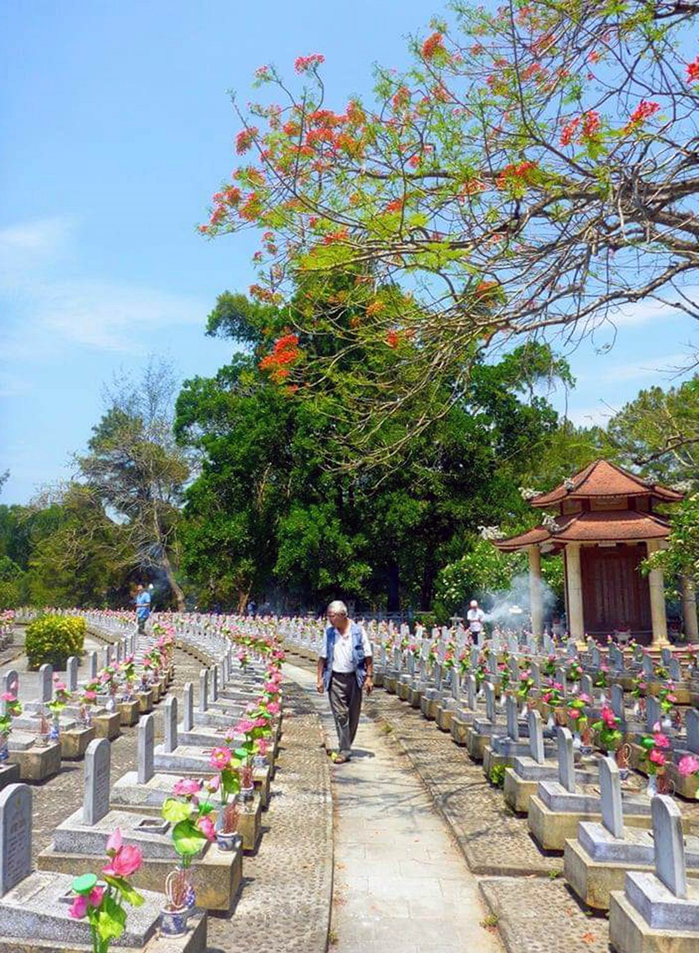 Nghĩa trang Trường Sơn m&amp;ugrave;a phượng ch&amp;aacute;y năm 2020.