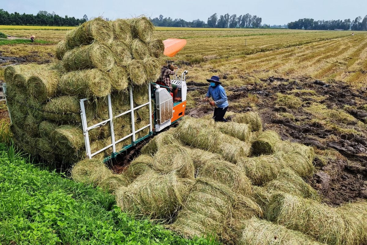 ẢnTrong sản xuất l&amp;uacute;a, hầu như 100% c&amp;aacute;c kh&amp;acirc;u l&amp;agrave;m đất, thu hoạch&amp;hellip; đ&amp;atilde; được cơ giới h&amp;oacute;a