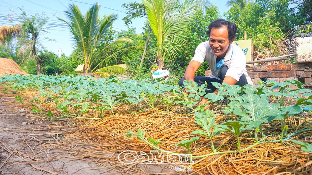 Với lối canh t&amp;aacute;c th&amp;acirc;n thiện với m&amp;ocirc;i trường, trong trồng trọt anh To&amp;agrave;n chủ động sử dụng ph&amp;acirc;n b&amp;oacute;n được ủ từ nguồn c&amp;aacute; tươi để n&amp;acirc;ng cao chất dinh dưỡng cho c&amp;acirc;y trồng.