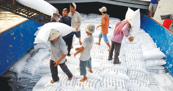 Bất kỳ quyết định nới lỏng xuất khẩu n&amp;agrave;o của Ấn Độ cũng c&amp;oacute; thể gi&amp;uacute;p hạ nhiệt gi&amp;aacute; gạo