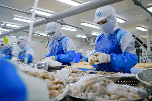 Xuất khẩu thủy sản cả năm 2024 dự kiến sẽ c&amp;aacute;n đ&amp;iacute;ch 10 tỉ USD