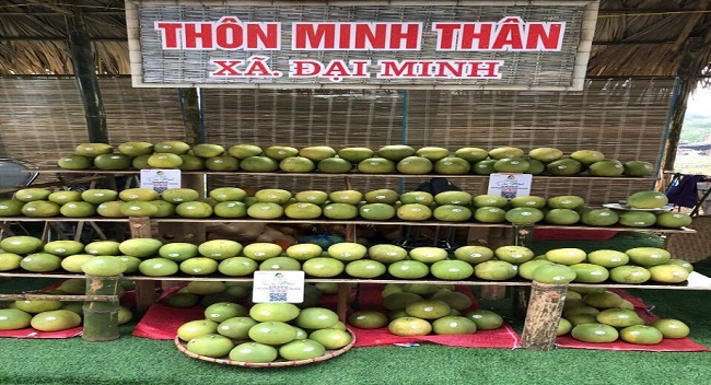 Bưởi Đại Minh tham gia trưng b&amp;agrave;y mỗi dịp lễ hội.