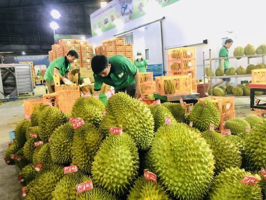 Việt Nam đ&amp;atilde; &amp;aacute;p dụng nhiều hiệp định thương mại tự do với Nhật Bản v&amp;agrave; H&amp;agrave;n Quốc, tạo điều kiện thuận lợi cho doanh nghiệp trong nước tăng cường xuất khẩu