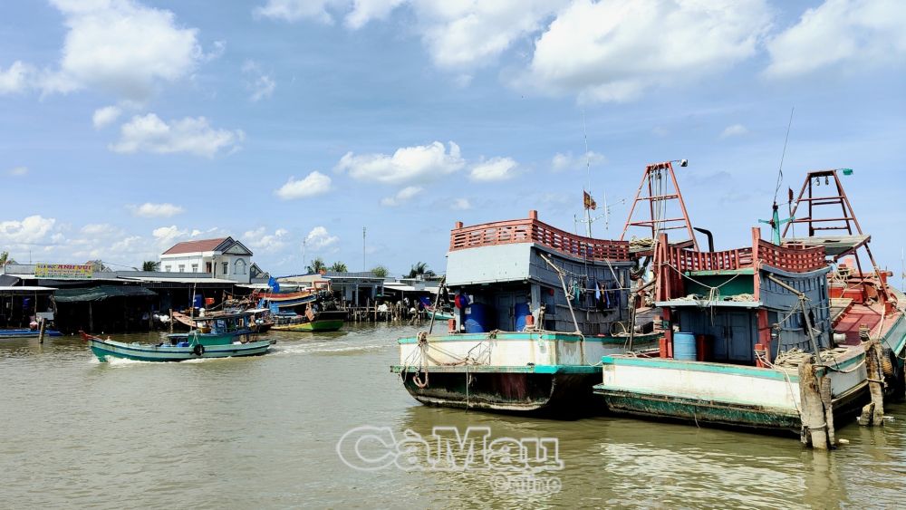 Những th&amp;aacute;ng cuối năm, ng&amp;agrave;nh n&amp;ocirc;ng nghiệp tập trung khắc phục những tồn tại, hạn chế trong c&amp;ocirc;ng t&amp;aacute;c IUU, chuẩn bị cho đợt thanh tra lần thứ 5 của EC