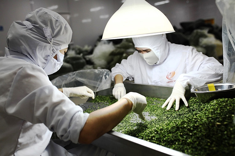 Gi&amp;aacute; xuất khẩu b&amp;igrave;nh qu&amp;acirc;n n&amp;ocirc;ng sản tăng cao trong nửa đầu th&amp;aacute;ng 7
