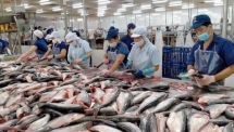 Gỡ khó cho ngành Thủy sản: Hướng đi mới đầy triển vọng