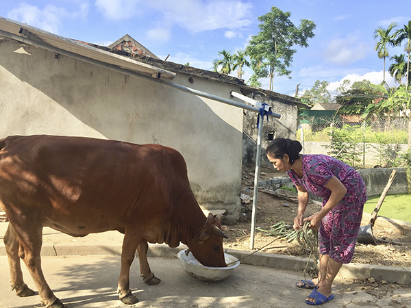 Chị Trần Thị Bưởi ở x&amp;oacute;m Thanh Đầm, x&amp;atilde; H&amp;ugrave;ng Tiến vay vốn ch&amp;iacute;nh s&amp;aacute;ch để chăn nu&amp;ocirc;i b&amp;ograve;