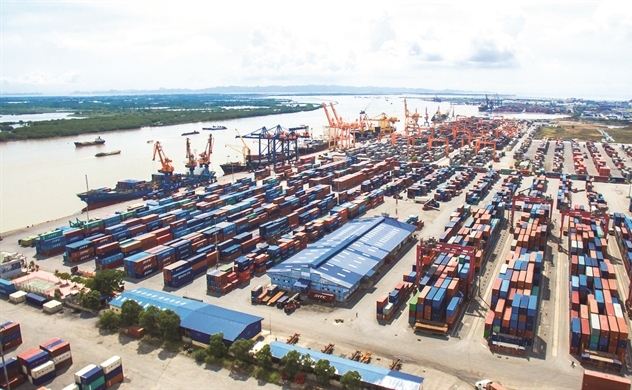 Ph&amp;aacute;t triển Cảng Đ&amp;igrave;nh Vũ b&amp;aacute;o l&amp;atilde;i r&amp;ograve;ng qu&amp;yacute; II giảm 15%