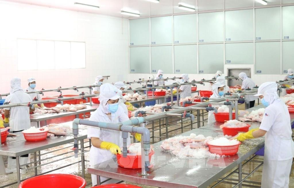 Doanh nghiệp đang đuối sức vì chống chọi với Covid-19 Doanh nghiệp đang đuối sức vì chống chọi với Covid-19