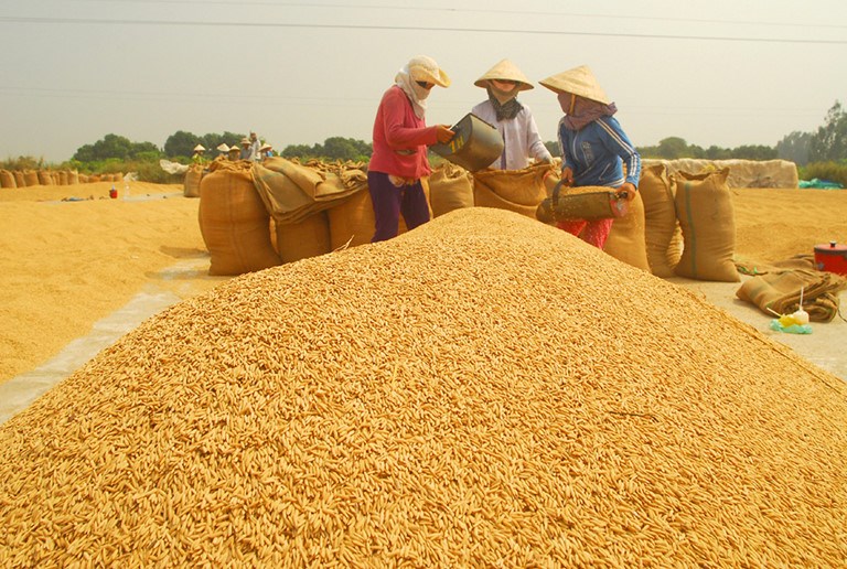 Ki&amp;ecirc;n Giang li&amp;ecirc;n kết với c&amp;aacute;c tỉnh th&amp;aacute;o gỡ kh&amp;oacute; khăn trong ti&amp;ecirc;u thụ l&amp;uacute;a