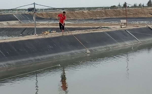 Hiện nay, hơn 5.400 hộ nu&amp;ocirc;i trồng thủy sản tr&amp;ecirc;n địa b&amp;agrave;n TP M&amp;oacute;ng C&amp;aacute;i đ&amp;atilde; thực hiện nghi&amp;ecirc;m c&amp;ocirc;ng t&amp;aacute;c BVMT trong nu&amp;ocirc;i trồng thủy sản