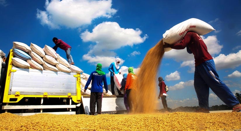 NHNN y&amp;ecirc;u cầu tăng cường hỗ trợ để kh&amp;ocirc;ng đứt g&amp;atilde;y chuỗi cung ứng ng&amp;agrave;nh n&amp;ocirc;ng nghiệp