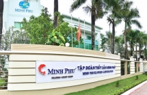Thủy sản Minh Phú báo lãi ròng quý II và nửa đầu năm đồng loạt tăng trưởng