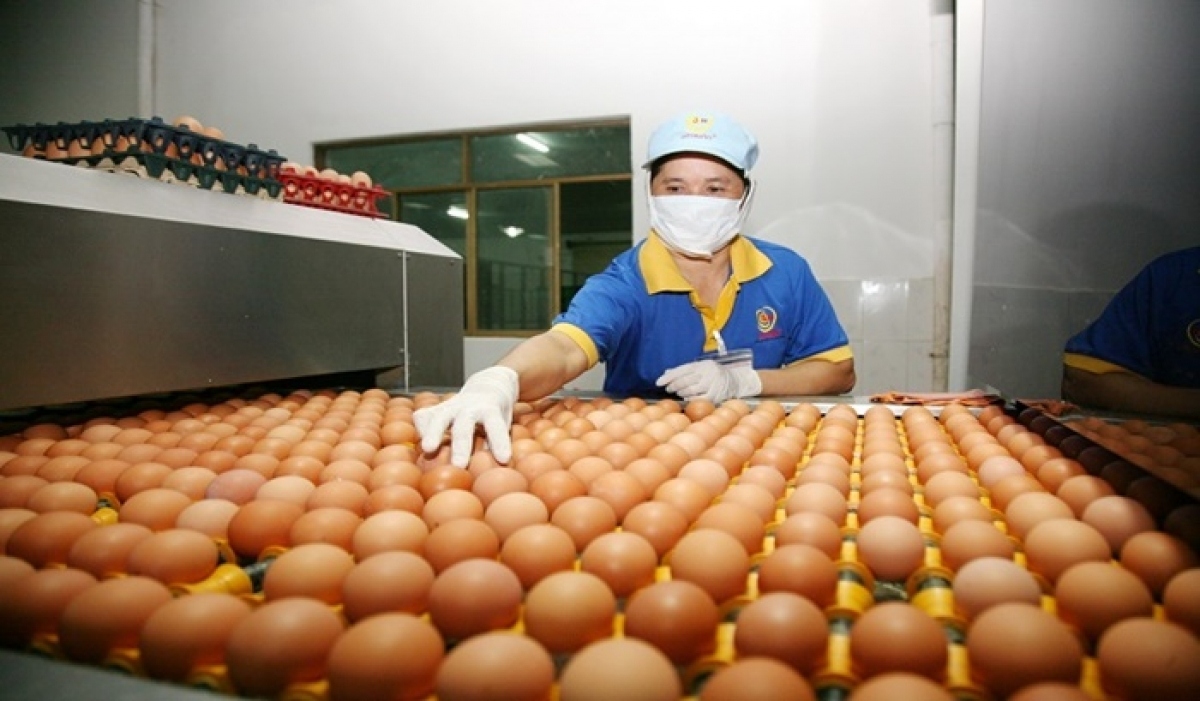 Nhiều DN thể hiện r&amp;otilde; tr&amp;aacute;ch nhiệm với x&amp;atilde; hội, với đất nước trong thời điểm v&amp;ocirc; c&amp;ugrave;ng kh&amp;oacute; khăn n&amp;agrave;y.