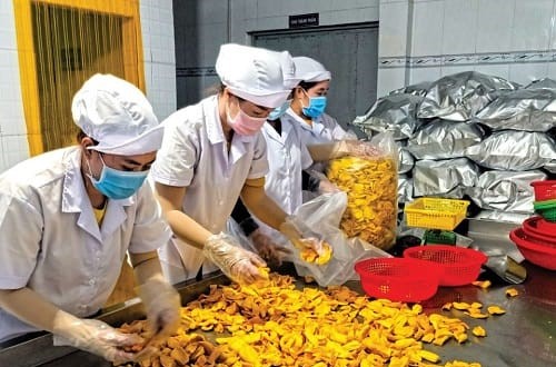 Ðề án “Xây dựng mô hình trình diễn kỹ thuật mít sấy” tại Công ty TNHH Ðại Ðô Cà Mau. Ðề án “Xây dựng mô hình trình diễn kỹ thuật mít sấy” tại Công ty TNHH Ðại Ðô Cà Mau.