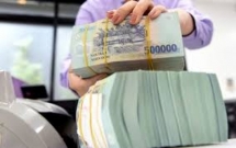NHNH nên báo cáo Chính phủ thực trạng các DN và tổ chức tín dụng ảnh hưởng kèm theo trong tương lai nợ xấu