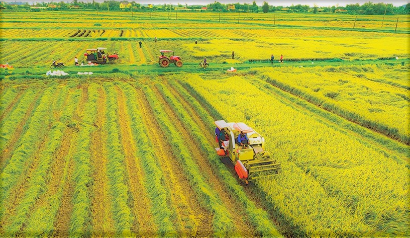 Quy hoạch lại n&amp;ocirc;ng nghiệp ven đ&amp;ocirc; để n&amp;acirc;ng cao gi&amp;aacute; trị