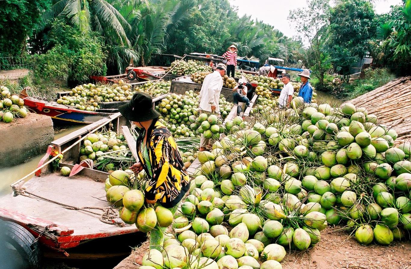 Tinh Bến Tre ch&amp;uacute; trọng đầu tư sản phẩm du lịch n&amp;ocirc;ng nghiệp.