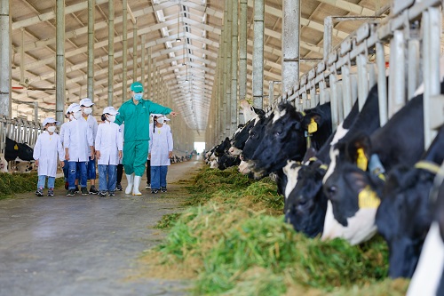 C&amp;aacute;c em thiếu nhi tại Trung t&amp;acirc;m bảo trợ Quảng Ng&amp;atilde;i đến thăm trang trại Vinamilk Green Farm Quảng Ng&amp;atilde;i, một hoạt động trong chương tr&amp;igrave;nh Quỹ sữa 2022