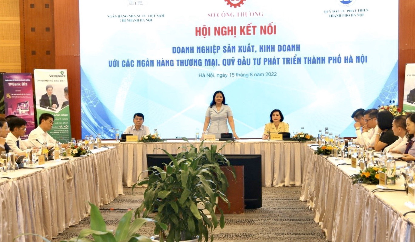 B&amp;agrave; Trần Thị Phương Lan ph&amp;aacute;t biểu khai mạc hội nghị