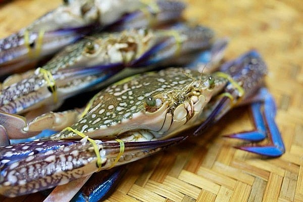 Một th&amp;aacute;ng nay, nhiều cửa h&amp;agrave;ng cho biết c&amp;aacute;c loại cua ghẹ k&amp;iacute;ch cỡ lớn tr&amp;ecirc;n 500 gram một con rất khan hiếm v&amp;igrave; thương l&amp;aacute;i thu gom xuất khẩu hết.