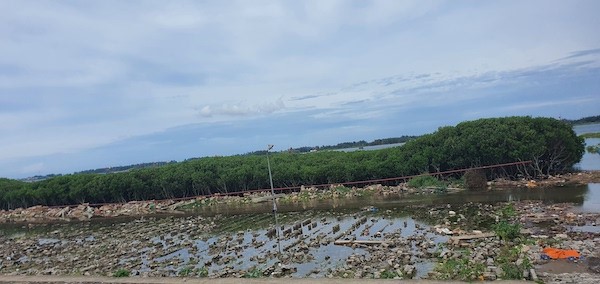 Thanh Hoá: Tháo dỡ phần công trình vi phạm trên hành lang thoát lũ của đê biển tại phường Hải Châu