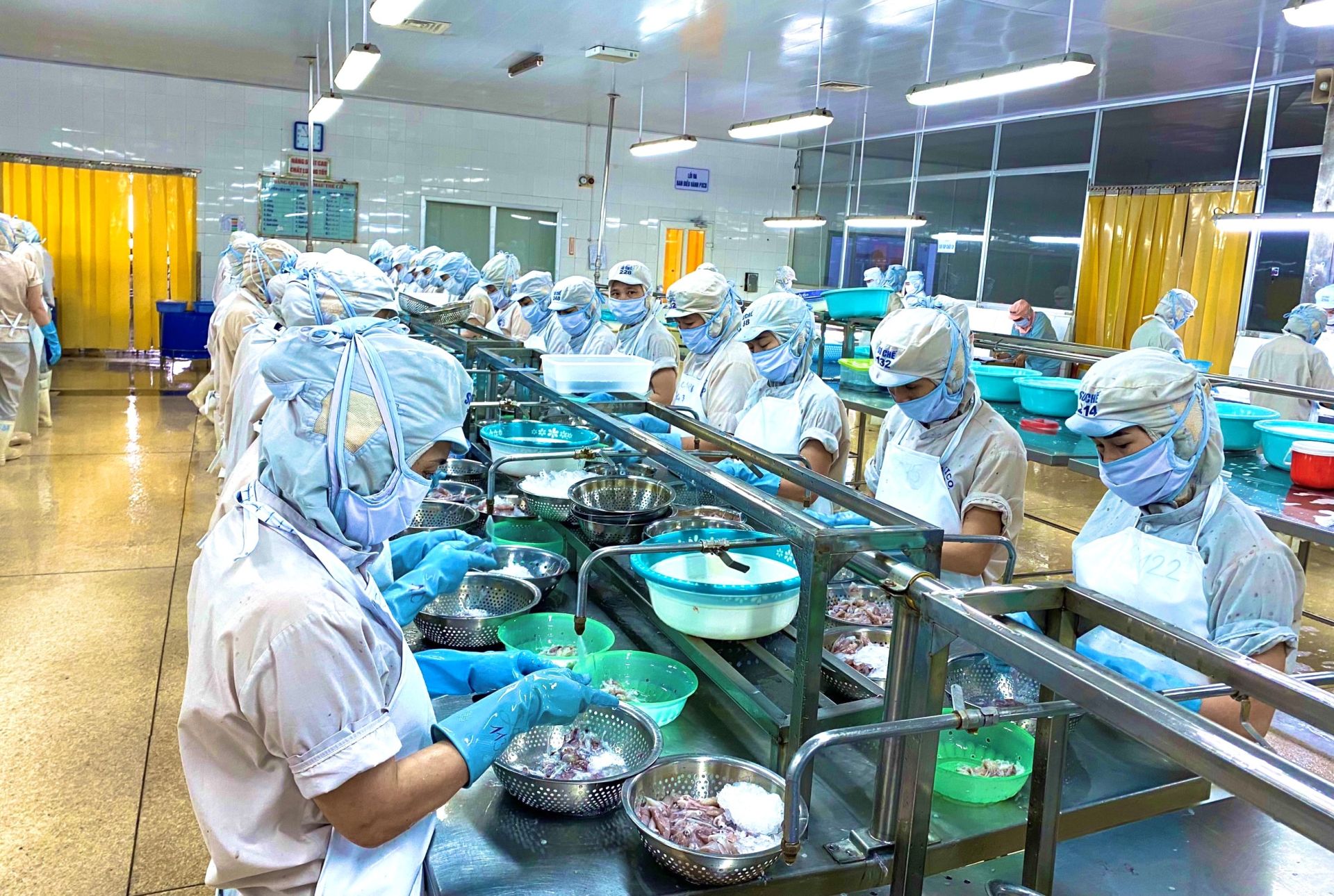 Doanh nghiệp l&amp;acirc;m - thủy sản H&amp;agrave; Tĩnh mong tiếp cận g&amp;oacute;i t&amp;iacute;n dụng ưu đ&amp;atilde;i