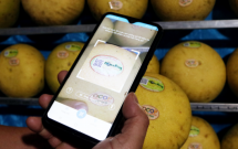 Phú Thọ: Trên 2.000 sản phẩm nông nghiệp được gắn tem truy xuất nguồn gốc