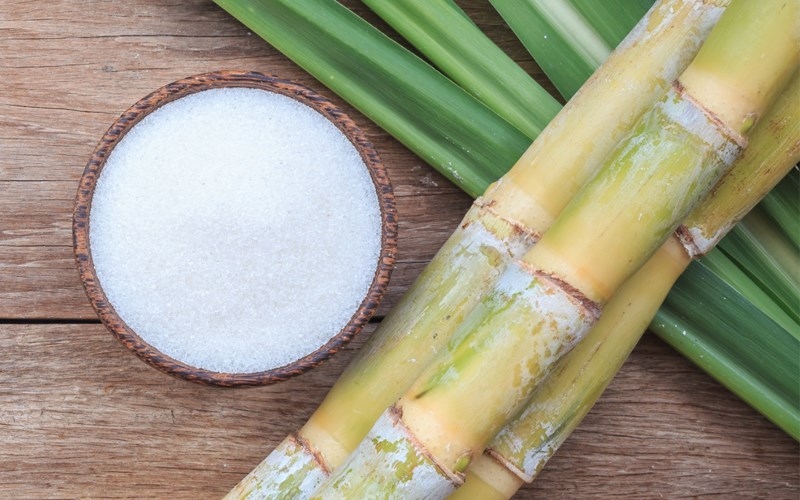 &amp;Aacute;p thuế chống b&amp;aacute;n ph&amp;aacute; gi&amp;aacute; với đường m&amp;iacute;a nhập khẩu từ Th&amp;aacute;i Lan.