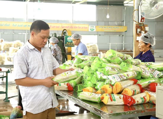 Sản phẩm m&amp;igrave; gạo của HTX m&amp;igrave; gạo H&amp;ugrave;ng L&amp;ocirc;, x&amp;atilde; H&amp;ugrave;ng L&amp;ocirc;, th&amp;agrave;nh phố Việt Tr&amp;igrave; c&amp;oacute; mặt ở nhiều hệ thống si&amp;ecirc;u thị lớn v&amp;agrave; xuất khẩu