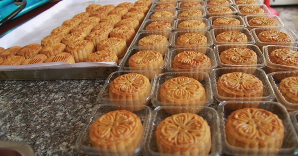 Chỉ đạo
