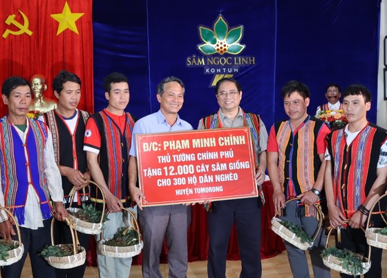 Cuối buổi gặp gỡ, Thủ tướng Ch&amp;iacute;nh phủ đ&amp;atilde; trao tặng 12.000 c&amp;acirc;y s&amp;acirc;m giống Ngọc Linh (trị gi&amp;aacute; 300.000 đồng/c&amp;acirc;y) hỗ trợ cho 300 hộ gia đ&amp;igrave;nh ngh&amp;egrave;o trong v&amp;ugrave;ng chỉ dẫn địa l&amp;yacute; s&amp;acirc;m Ngọc Linh