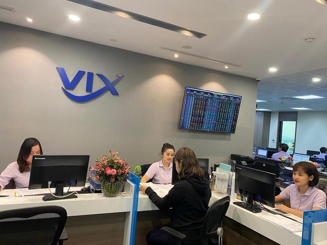 Chứng kho&amp;aacute;n VIX n&amp;acirc;ng tỷ lệ sở hữu tại Thiết bị điện Đ&amp;ocirc;ng Anh l&amp;ecirc;n 12,61% vốn điều lệ