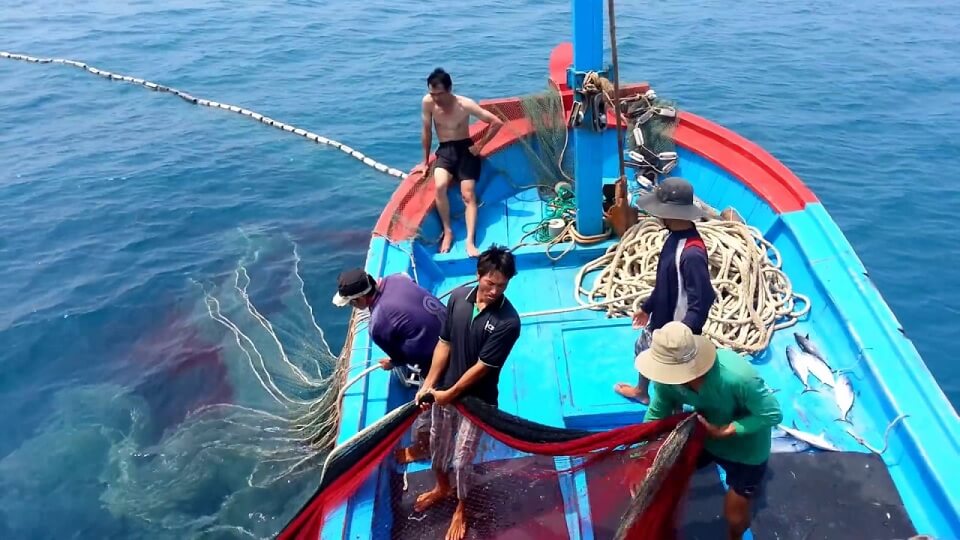 Kh&amp;aacute;nh H&amp;ograve;a tập trung thực hiện c&amp;aacute;c giải ph&amp;aacute;p chống khai th&amp;aacute;c hải sản IUU