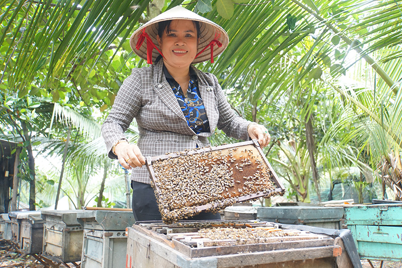 M&amp;ocirc; h&amp;igrave;nh nu&amp;ocirc;i ong lấy mật gi&amp;uacute;p chị Nguyễn Thị Dẻo vượt qua kh&amp;oacute; khăn, ổn định kinh tế